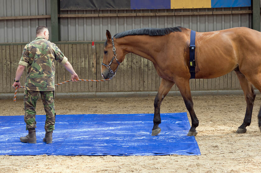 Een militair loopt met een paard door een binnenbak.