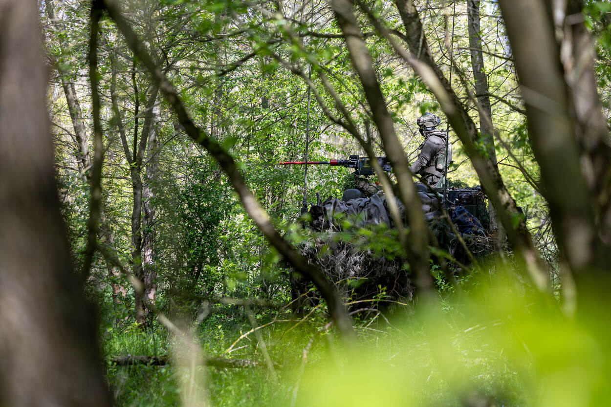 voertuig in het bos