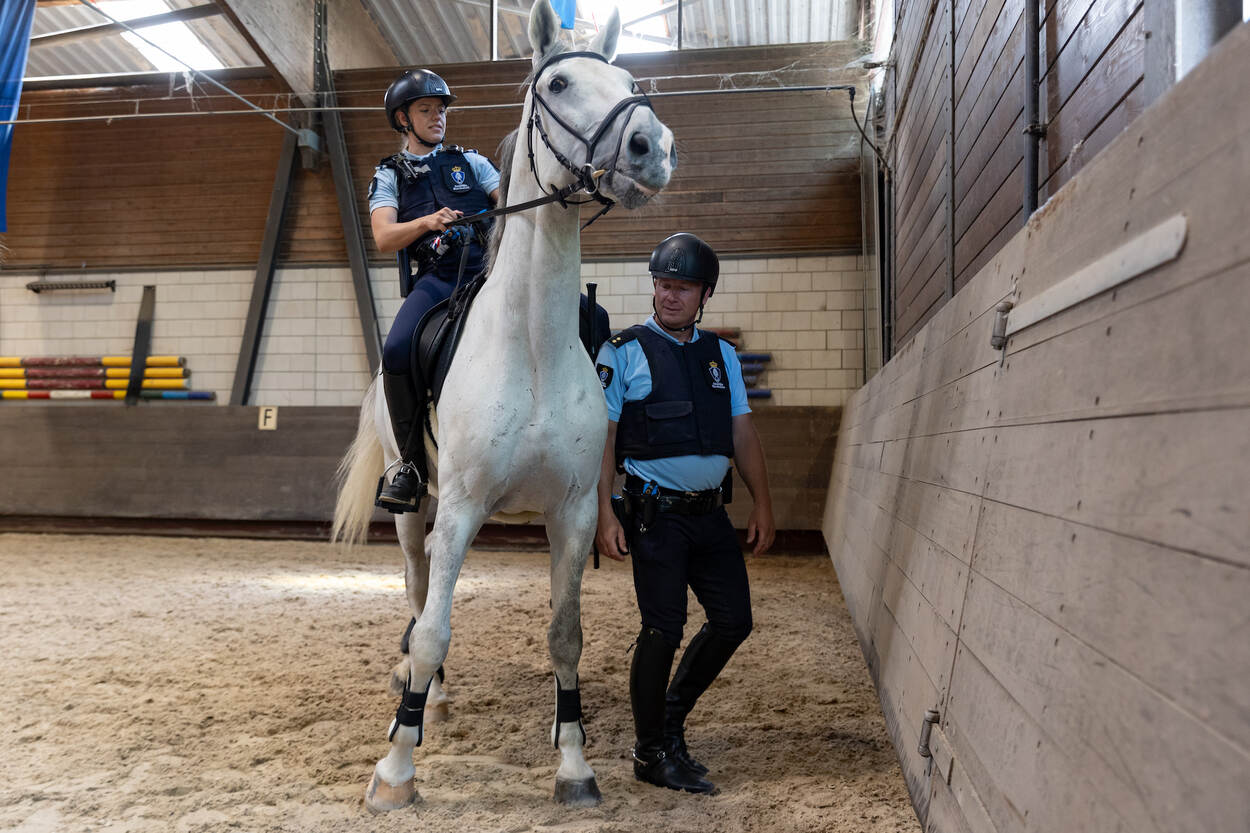 Een marechaussee te paard oefent in het klemzetten van een aangehouden verdachte.