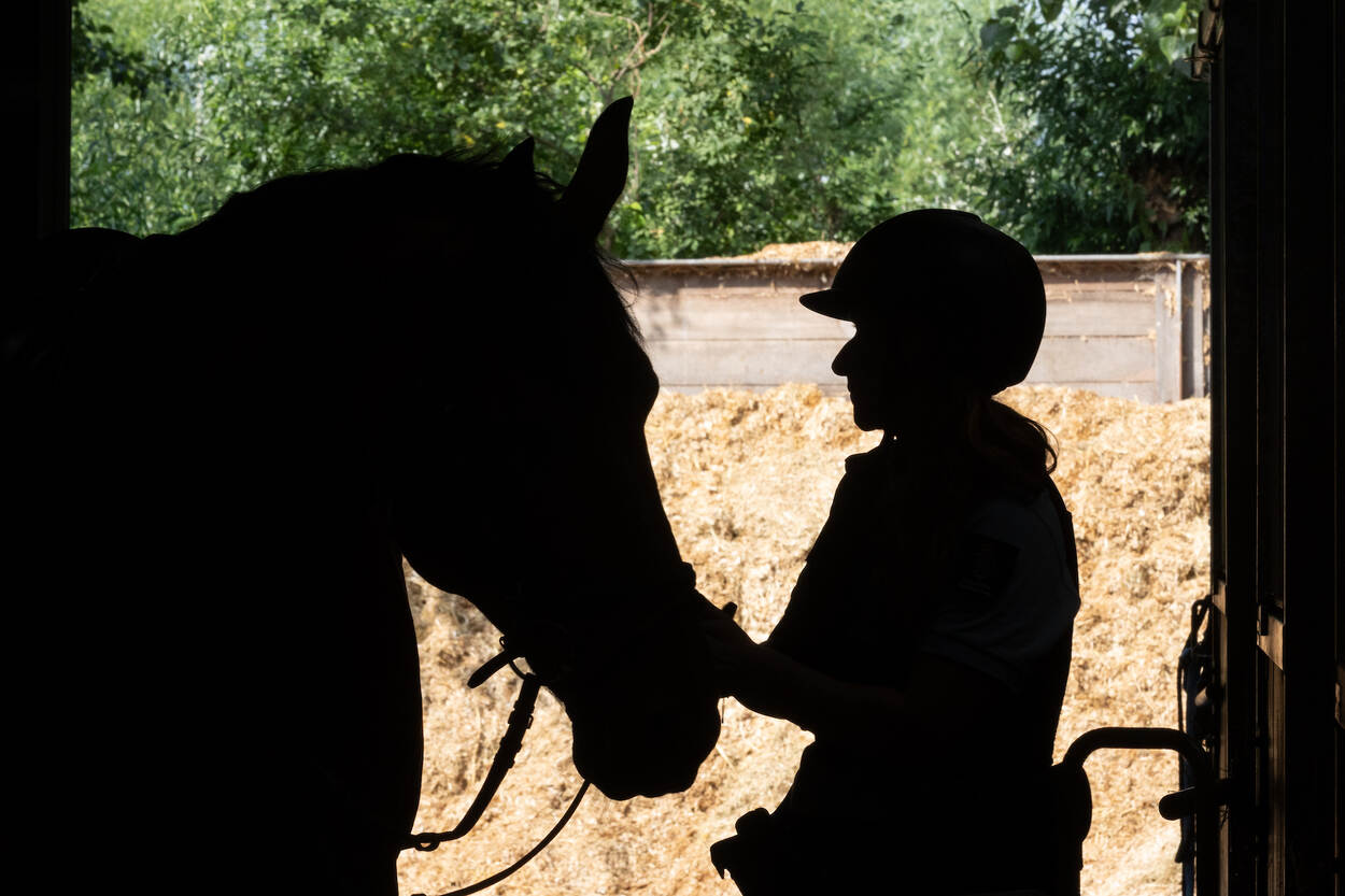 Silhouetfoto van een paardenhoofd en dat van de ruiter.