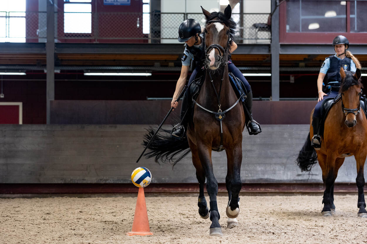 Een collega test de reikwijdte van zijn wapenstok, terwijl hij op een paard zit.