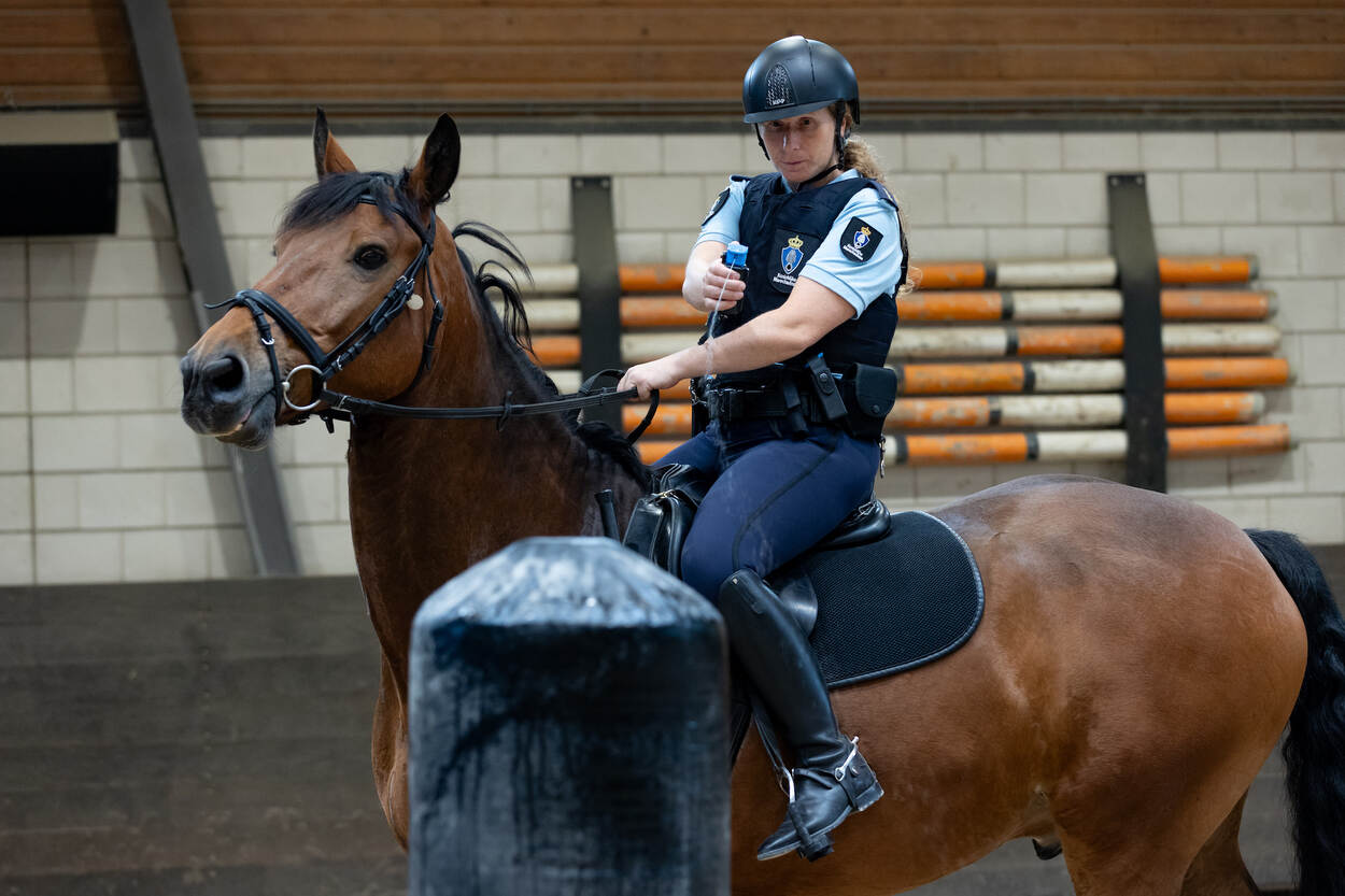 Een marechaussseeruiter traint gebruik vuurwapen vanaf het paard.