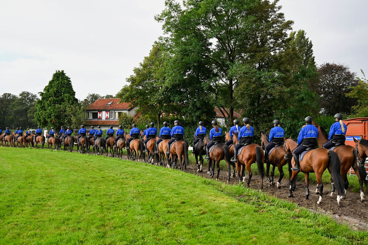 Grote groep Marechaussee te paard loopt in optocht