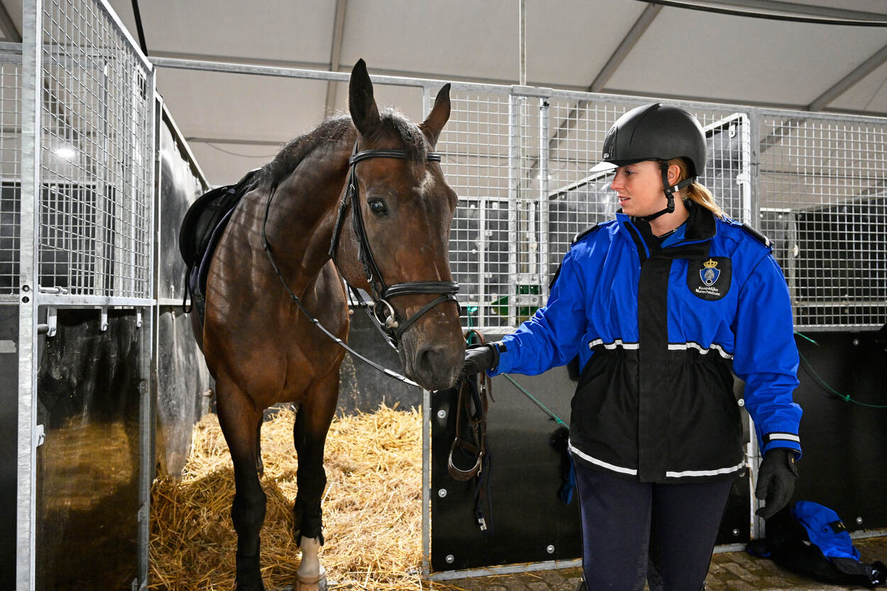 Marechaussee haalt een paard uit de stal