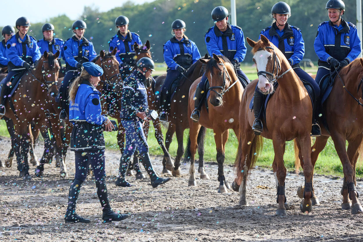 Paarden lopen tussen zeepbellen door