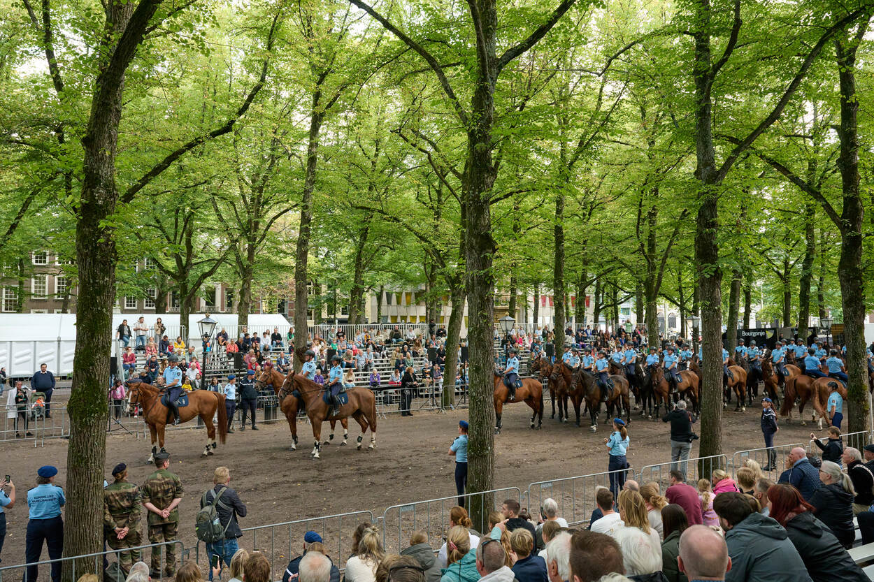 Marechaussee te paard staat opgesteld in Den Haag