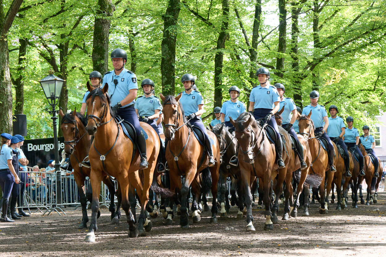 Optocht van Marechaussee te paard door Den Haag