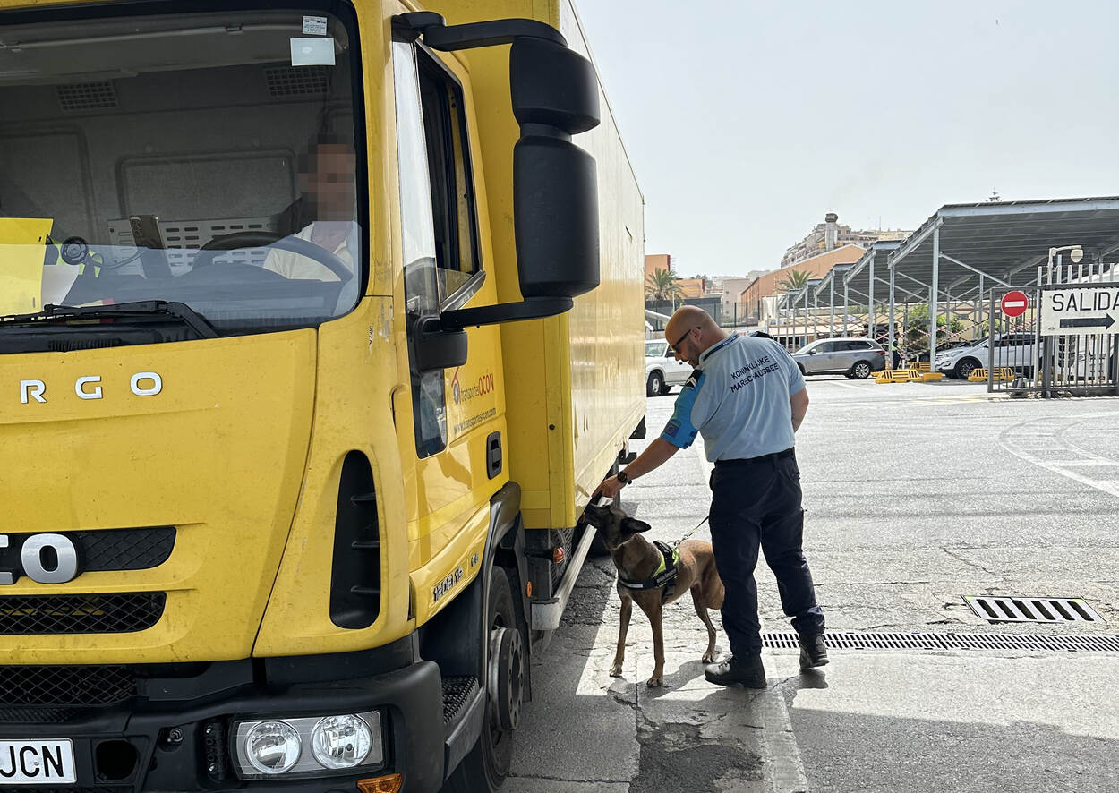 Hondengeleider checkt een vrachtwagen in de haven van Ceuta.