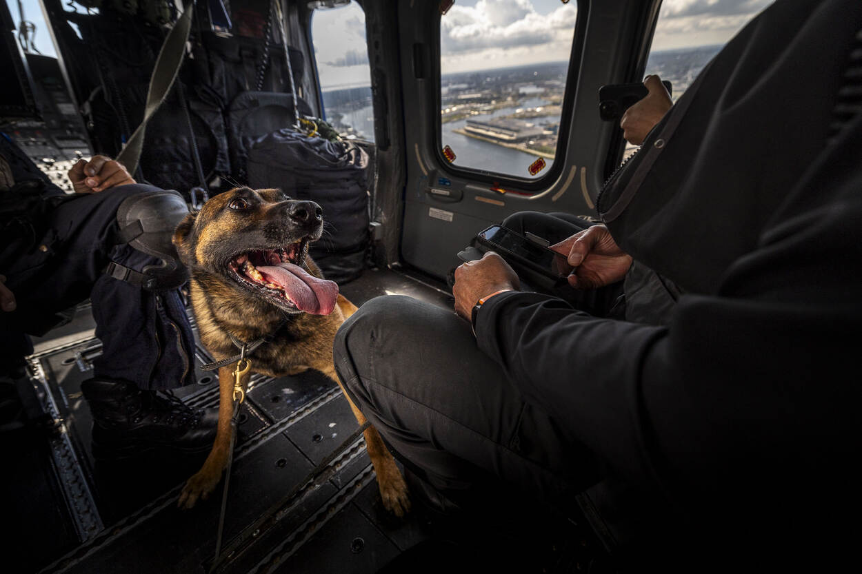 Een K9-hond kijkt in de helikopter naar z’n baas