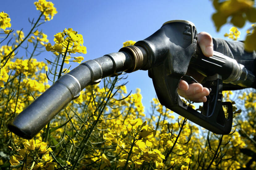 Benzineslang in een groene omgeving