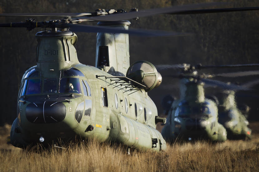 Chinooks op de heide op een rij. In de voorgrond wappert lang, geel gras. Op de achtergrond is de bosrand te zien.