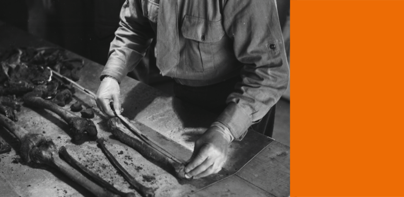 Een zwartwit-foto toont de torso van een persoon, die op een tafel voor zich menselijke botten heeft liggen.