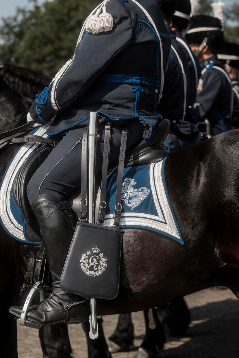 het tuigage op een van de paarden.