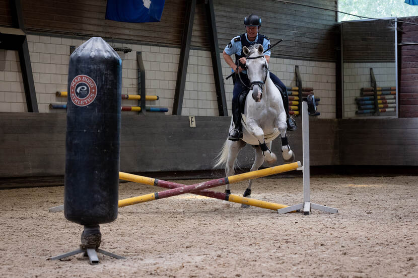 Een politiepaard springt over een balkhindernis.