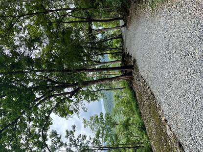 Staande foto van een met grijze stenen aangebracht pas langs een bergwand, met op de achtergrond een prachtig uitzicht over groene bomen.