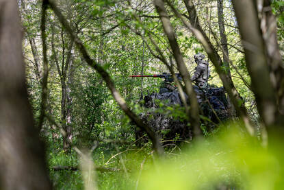 voertuig in het bos