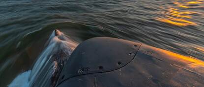 Toren van onderzeeboot met zee.